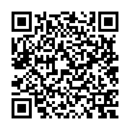 QR code for W228317