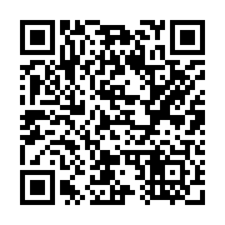 QR code for W22903