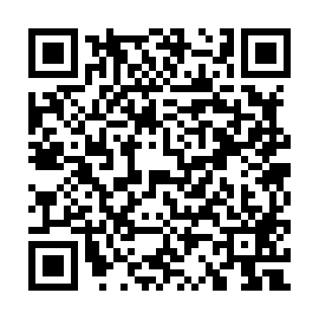 QR code for W238893