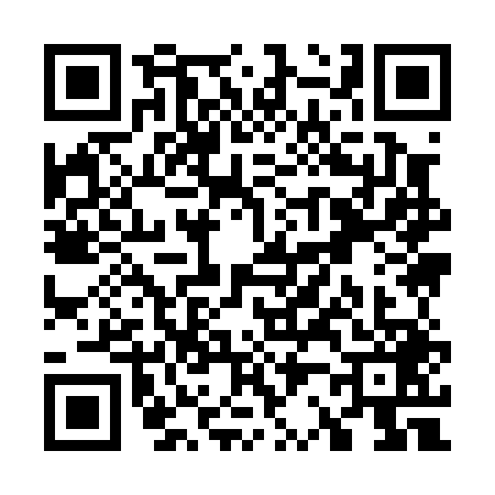 QR code for W290495