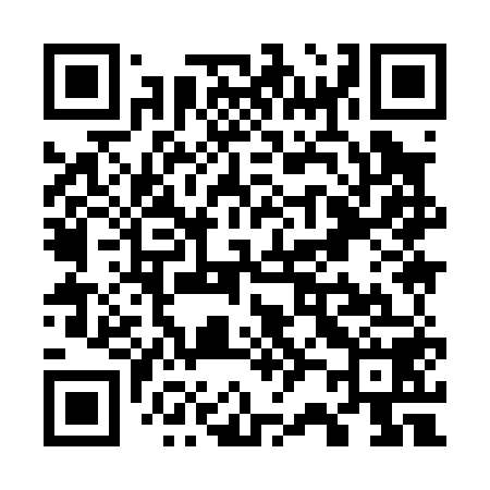QR code for W29058