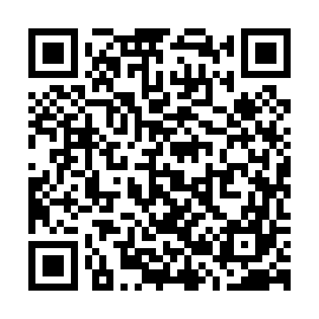 QR code for W29067