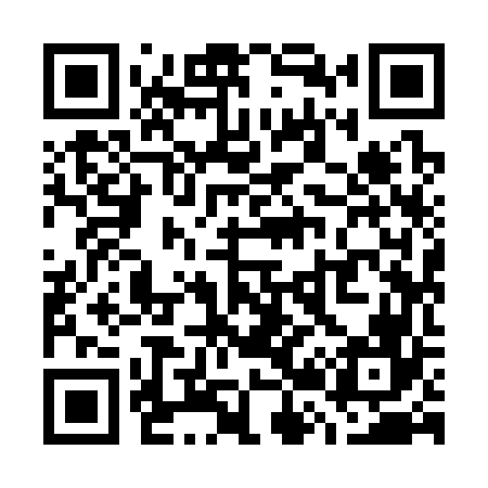 QR code for W29366