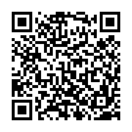 QR code for W29416