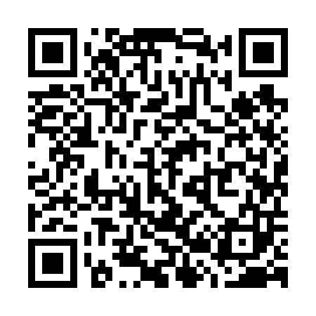 QR code for W29603