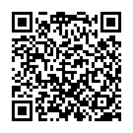 QR code for W29728