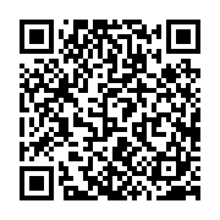 QR code for W30223
