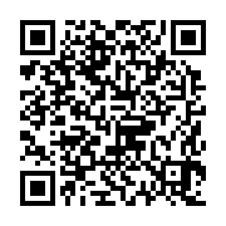 QR code for W30383