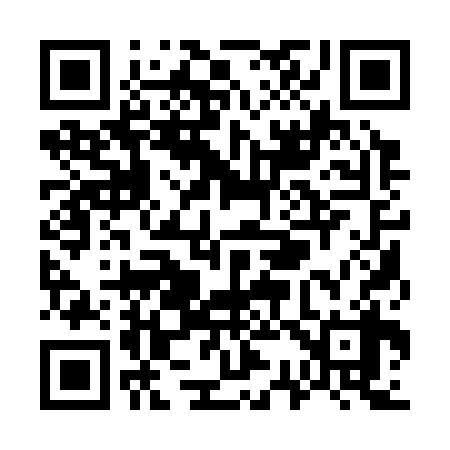 QR code for W31338