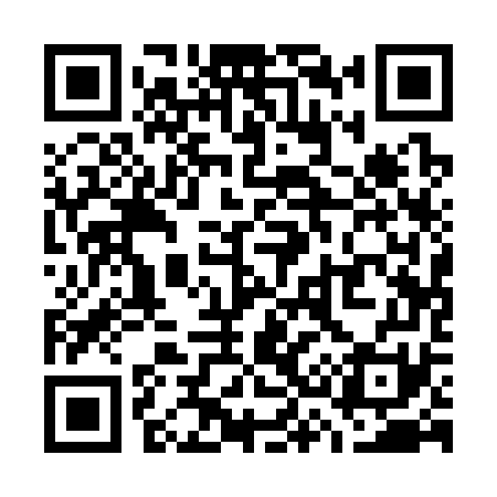 QR code for W31371