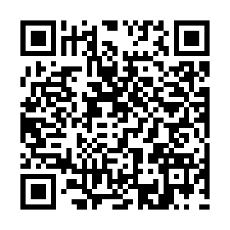 QR code for W313731
