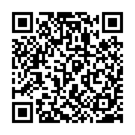 QR code for W33295