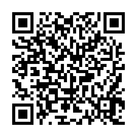 QR code for W38146
