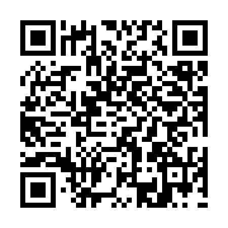 QR code for W383300