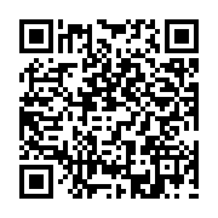 QR code for W383874