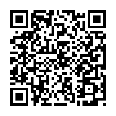 QR code for W384406