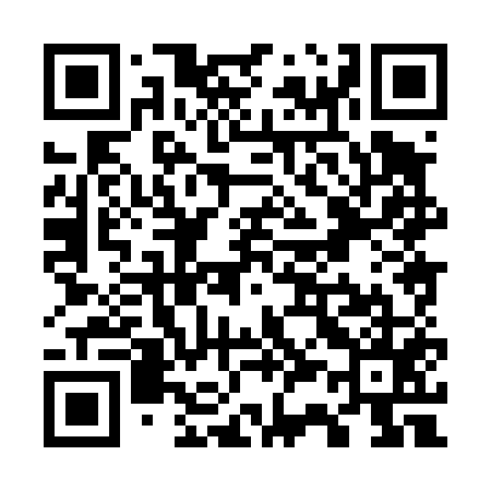 QR code for W38455