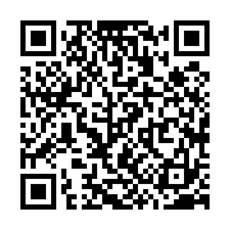QR code for W38533