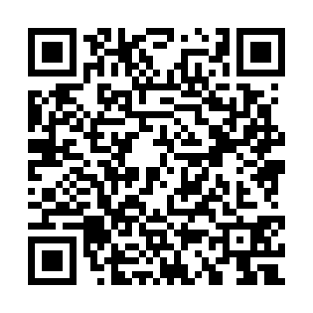 QR code for W387307