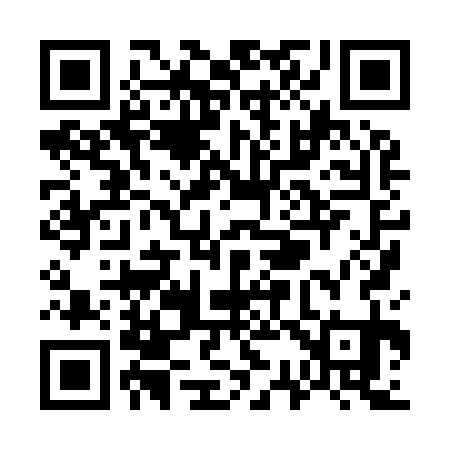 QR code for W38931