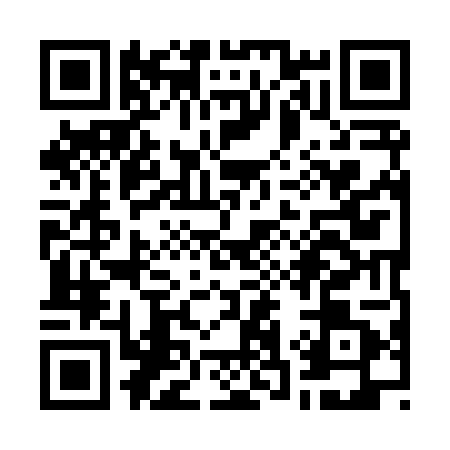 QR code for W398011
