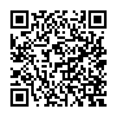 QR code for W411465