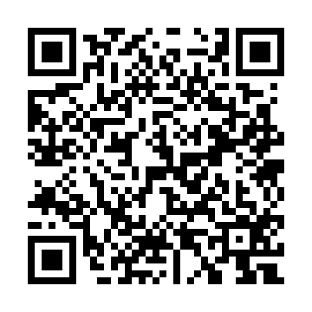 QR code for W437161