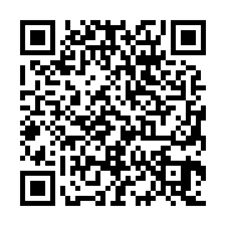QR code for W438211