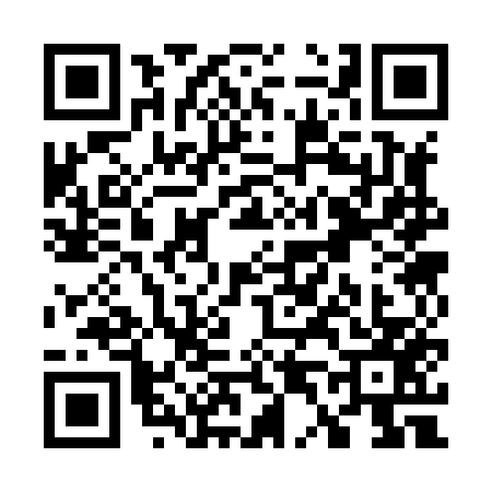 QR code for W438575
