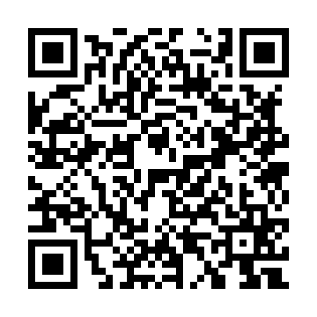 QR code for W438659