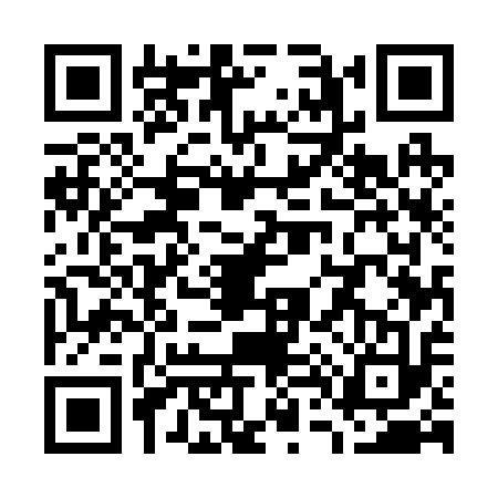 QR code for W452138