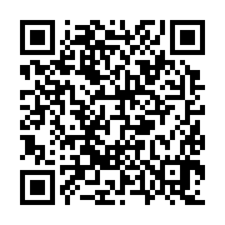 QR code for W46387
