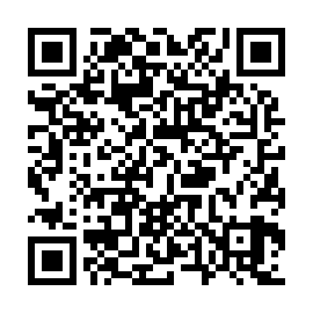 QR code for W46929
