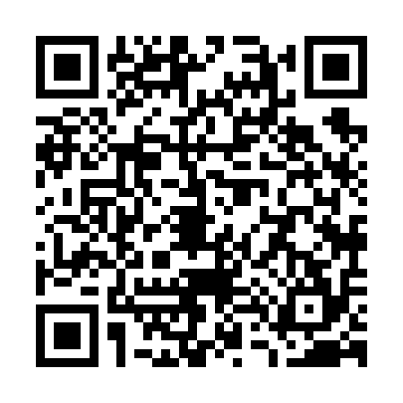 QR code for W486142