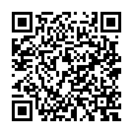 QR code for W490555