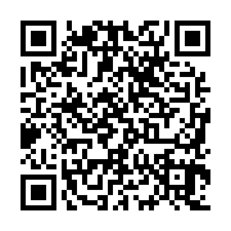 QR code for W491855