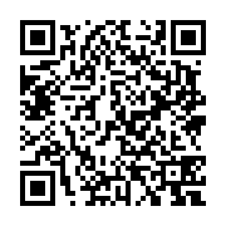 QR code for W494385