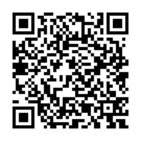 QR code for W506334