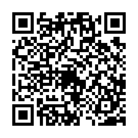 QR code for W506446
