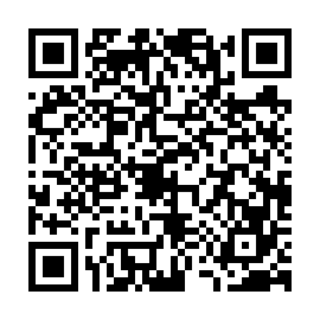 QR code for W506661
