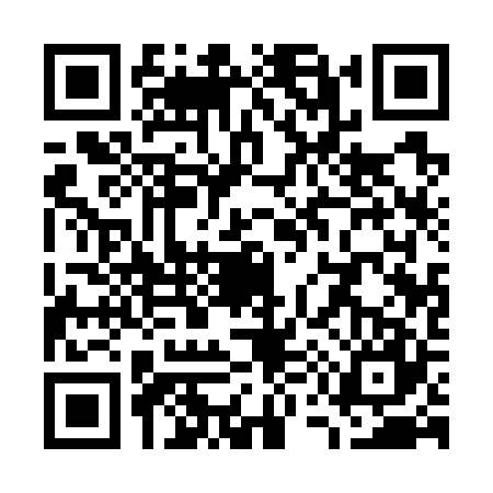 QR code for W517273