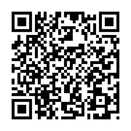 QR code for W549031