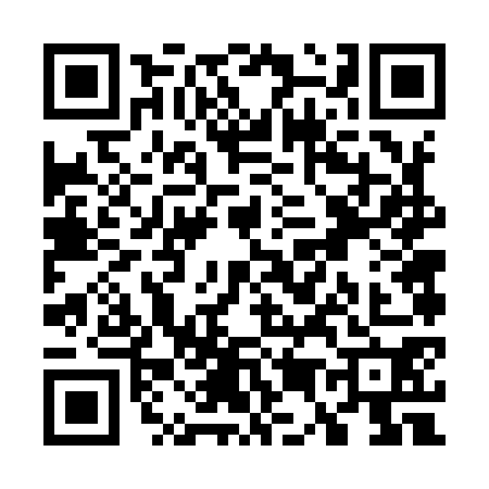 QR code for W569702
