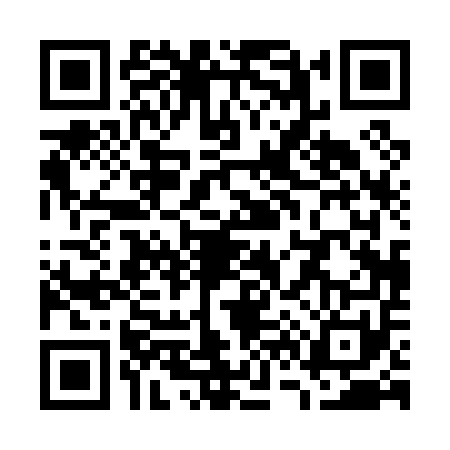 QR code for W600516