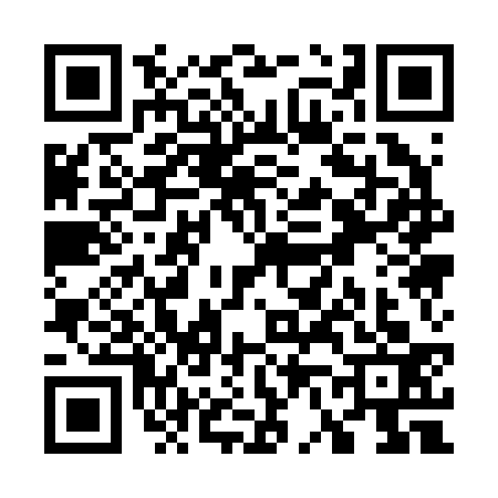 QR code for W612333