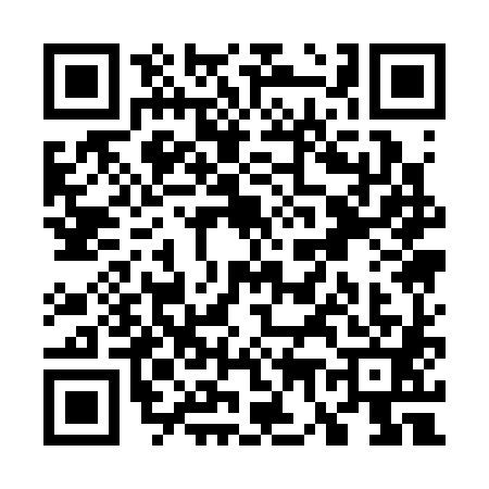QR code for W713817