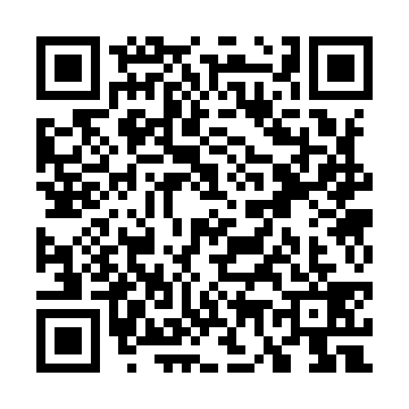 QR code for W739393