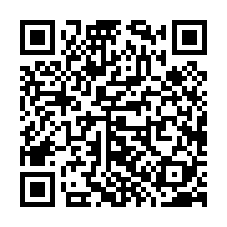QR code for W80029