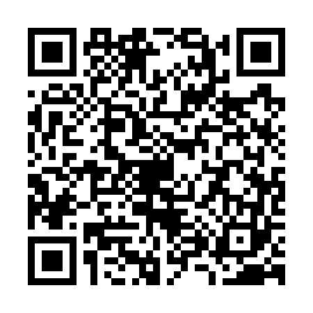 QR code for W817631
