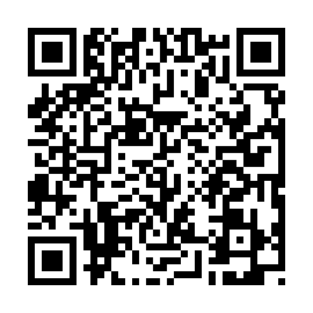 QR code for W819397